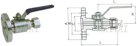 PN 6.4 MPa- NPT Lagging Extension to Flange-Dimensions